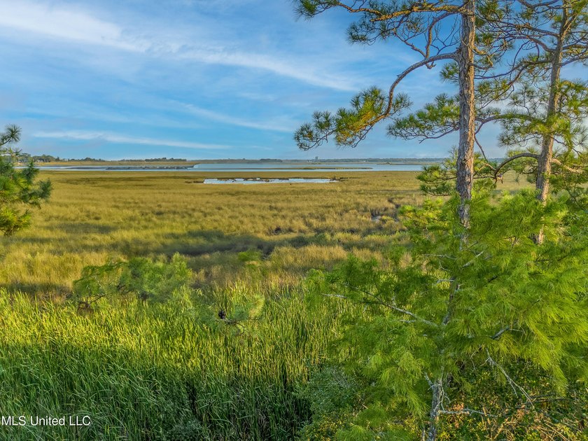 6+ Acres with Breathtaking Big Lake Views - Reduced Price! - photo 6