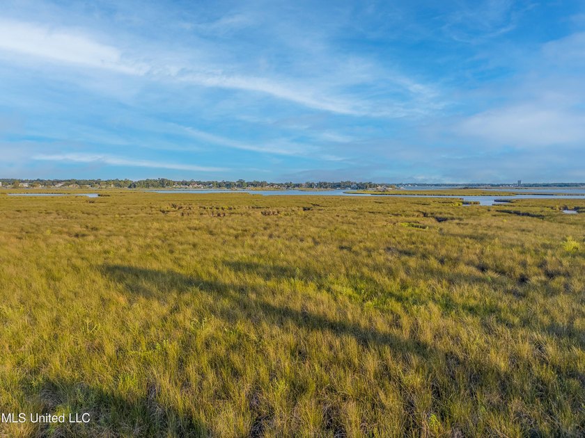 6+ Acres with Breathtaking Big Lake Views - Reduced Price! - photo 7