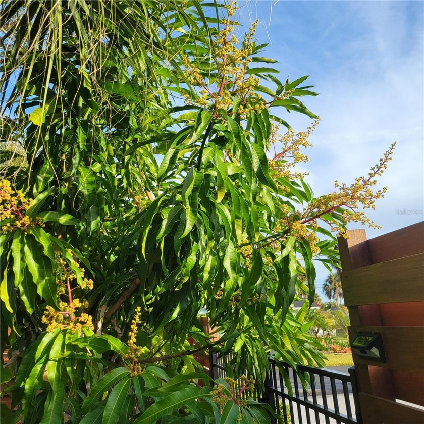 Moving to the Venice area? Looking for a home close to the - photo 22