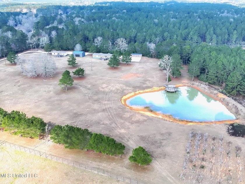 This exceptional 40+/- acre tract in Southwest Mississippi - photo 2