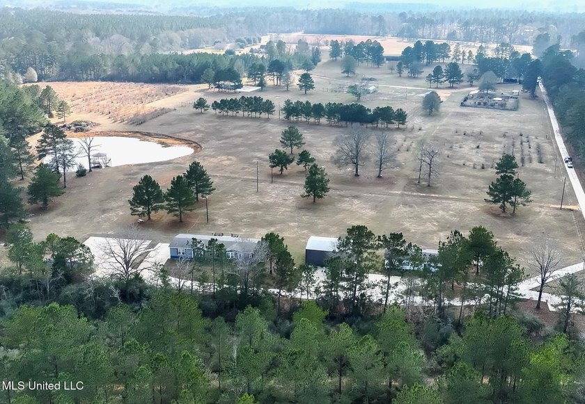 This exceptional 40+/- acre tract in Southwest Mississippi - photo 5