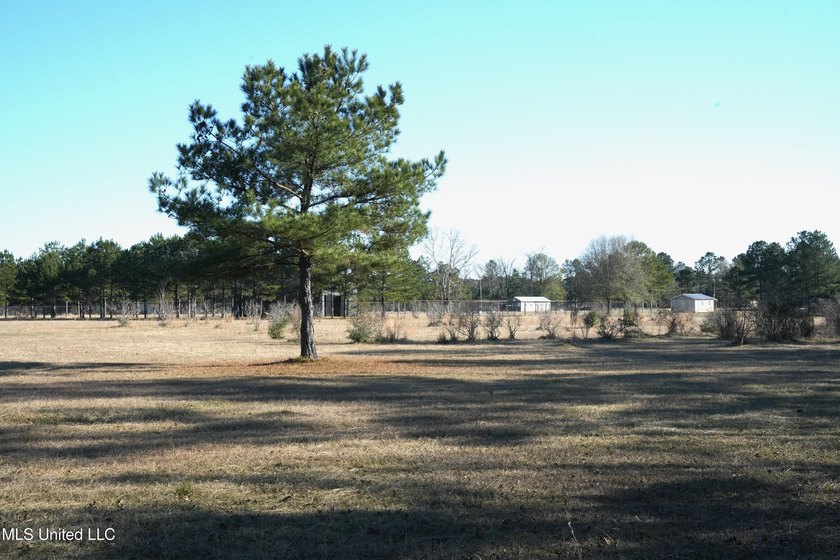 This exceptional 40+/- acre tract in Southwest Mississippi - photo 7