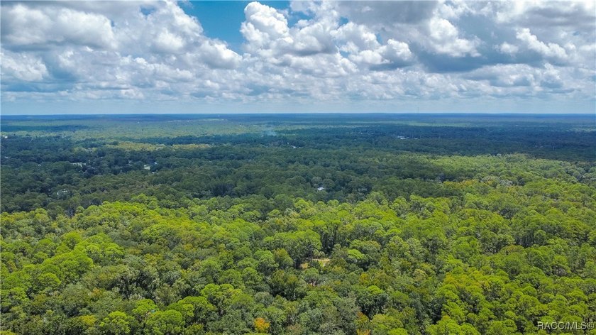 This beautiful 0.72-acre wooded property offers the perfect - photo 4