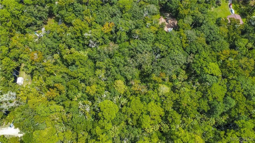 This beautiful 0.72-acre wooded property offers the perfect - photo 5