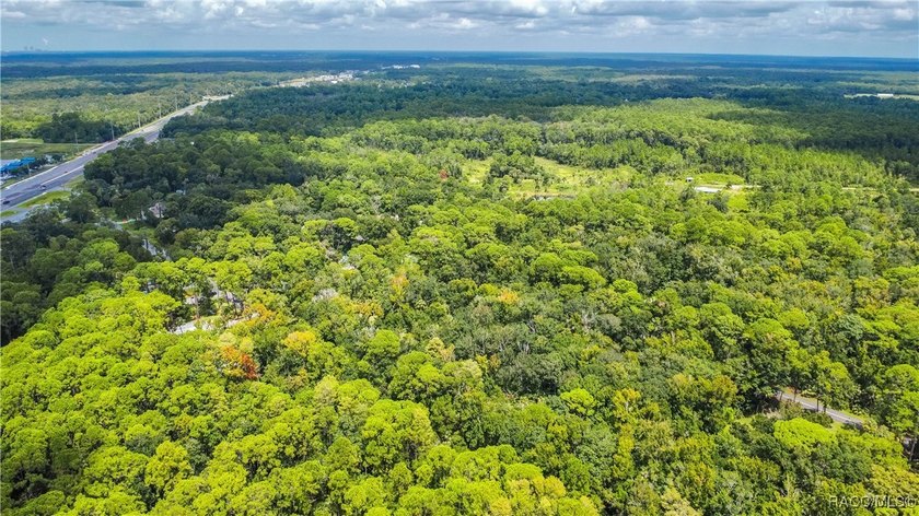 This beautiful 0.72-acre wooded property offers the perfect - photo 7