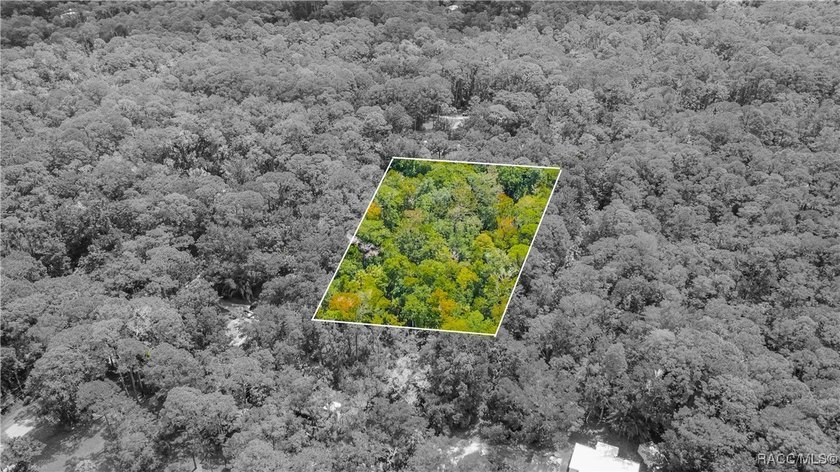 This beautiful 0.72-acre wooded property offers the perfect - photo 9