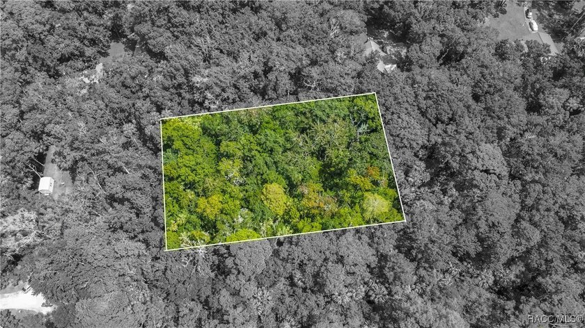 This beautiful 0.72-acre wooded property offers the perfect - photo 10