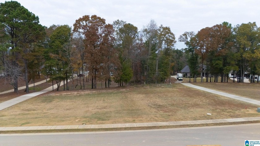 Discover the perfect setting for your future home at 3 Rising - photo 4