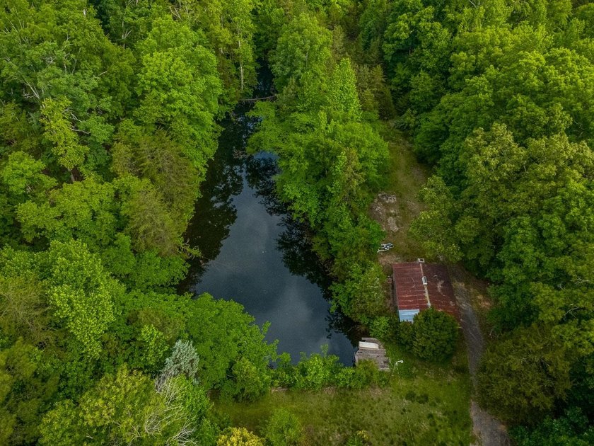 Enjoy country living with a combination of charm and privacy on - photo 3