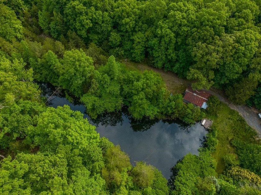 Enjoy country living with a combination of charm and privacy on - photo 4