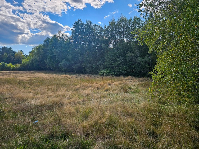 COMMERCIAL LOT WITH GREAT VISIBILITY AND HIGH TRAFFIC COUNT ON - photo 7