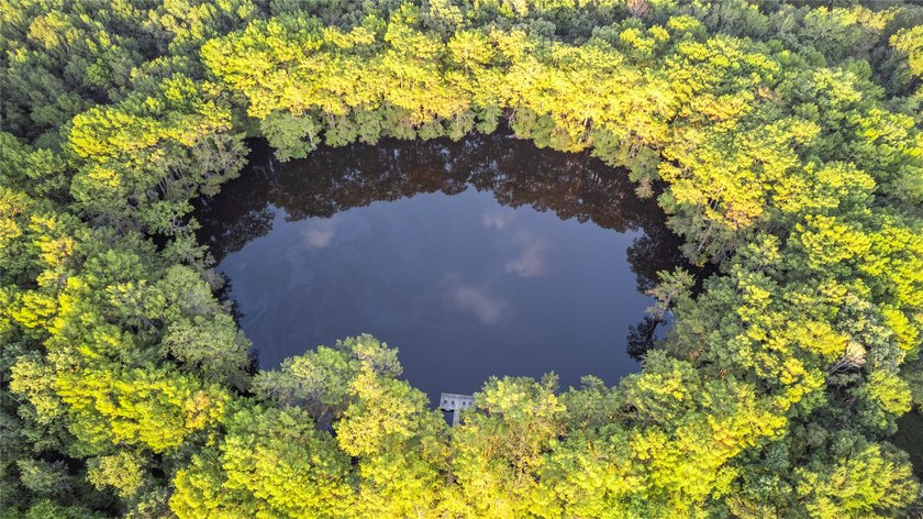 Discover one of the most unique opportunities ever offered on - photo 3