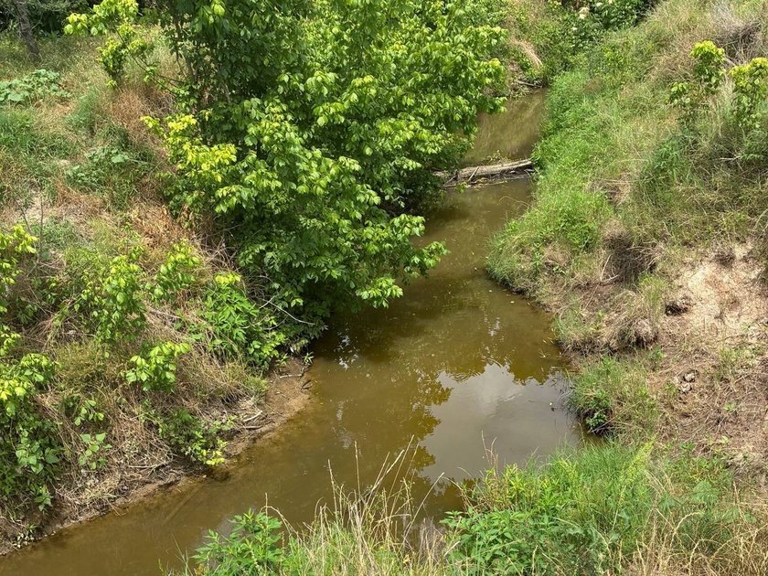 352 +/- Acres Haley Ranch, Acres: 351.944 +/- Acres. Price: $9 - photo 14