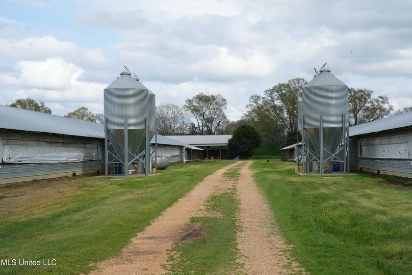 This 6-house poultry broiler farm, situated just north of - photo 10