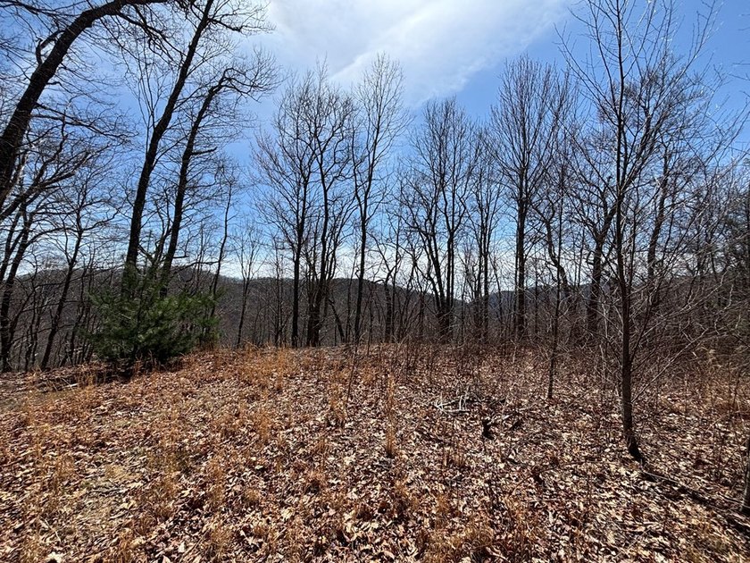 Don't miss this fantastic investment opportunity--over 30 acres - photo 23