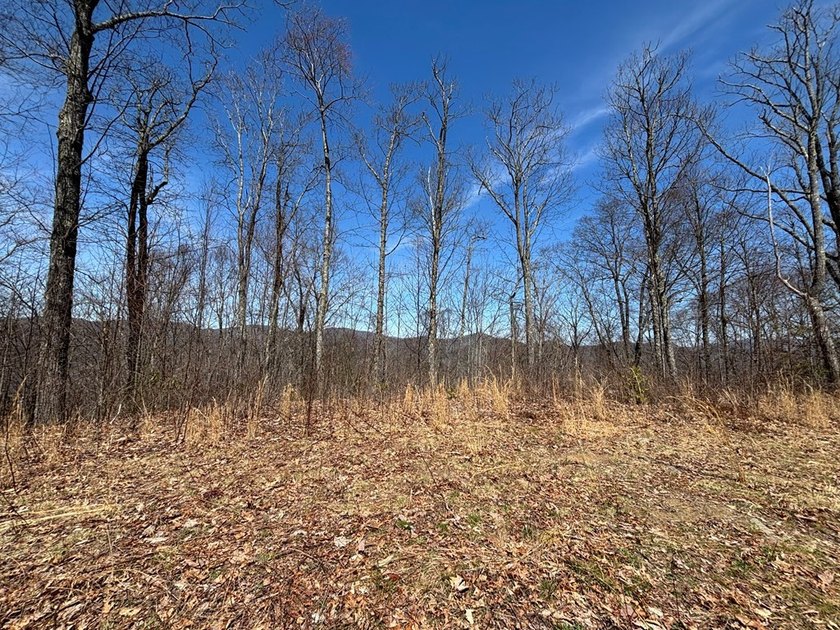 Don't miss this fantastic investment opportunity--over 30 acres - photo 27
