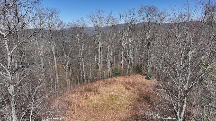 Don't miss this fantastic investment opportunity--over 30 acres - photo 46