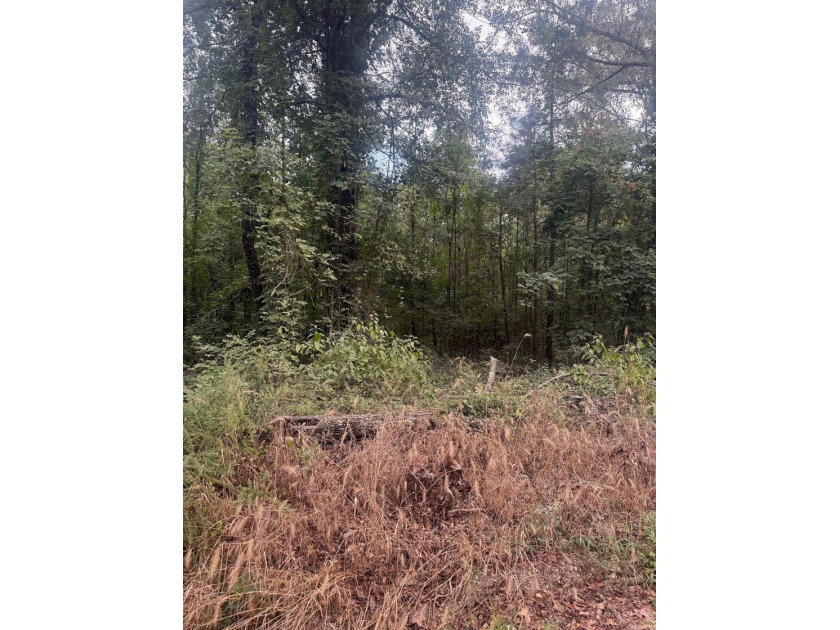 7 acres, wooded with road frontage on Williams Cutoff Road. Very - photo 2