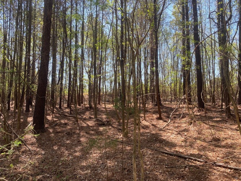 Located immediately adjacent to the shores of Lake Murray in - photo 19