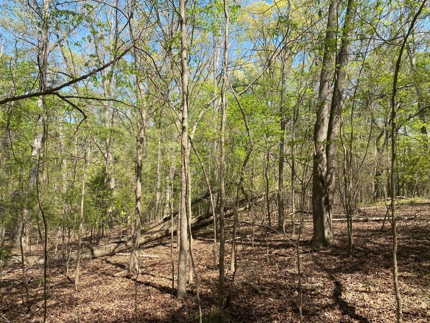 Located immediately adjacent to the shores of Lake Murray in - photo 20