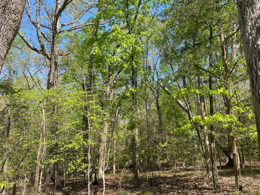 Located immediately adjacent to the shores of Lake Murray in - photo 21