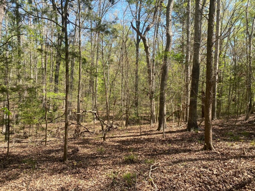 Located immediately adjacent to the shores of Lake Murray in - photo 22