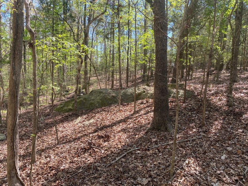 Located immediately adjacent to the shores of Lake Murray in - photo 23