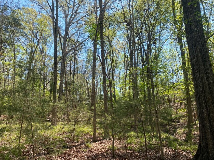 Located immediately adjacent to the shores of Lake Murray in - photo 24