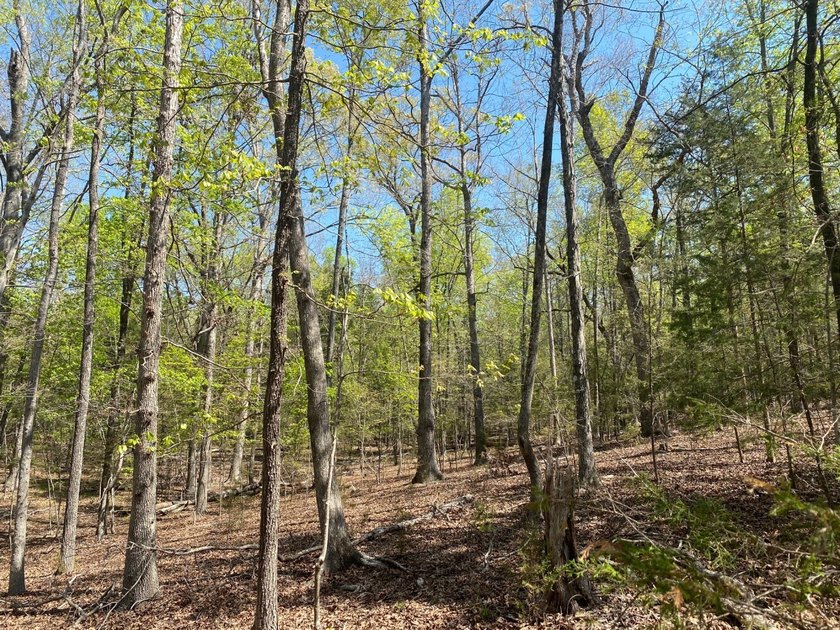 Located immediately adjacent to the shores of Lake Murray in - photo 25