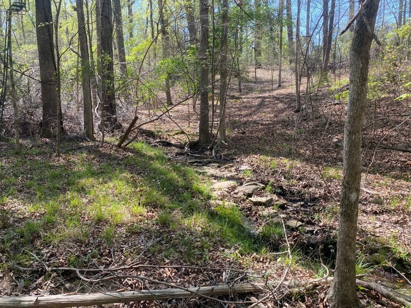 Located immediately adjacent to the shores of Lake Murray in - photo 27