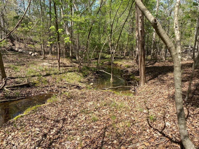 Located immediately adjacent to the shores of Lake Murray in - photo 28