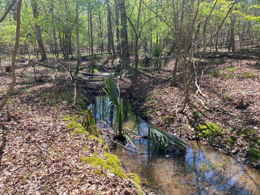 Located immediately adjacent to the shores of Lake Murray in - photo 29