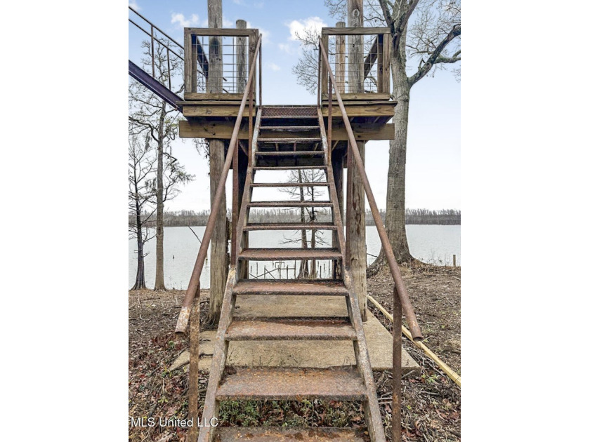 Welcome to lake life at 2067 Pecan Grove Road in Woodville - photo 10