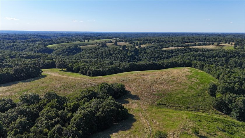 Spectacular 310-acre estate 8 minutes north of Branson West - photo 5