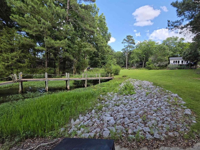 NO OPEN HOUSE ON 7/11 - Excellent Chapin lakefront home is a - photo 4