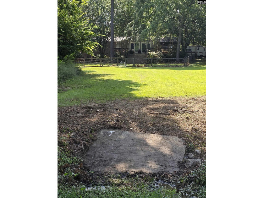 NO OPEN HOUSE ON 7/11 - Excellent Chapin lakefront home is a - photo 5