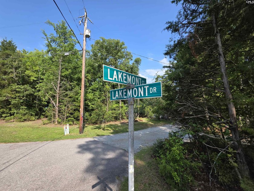 NO OPEN HOUSE ON 7/11 - Excellent Chapin lakefront home is a - photo 8