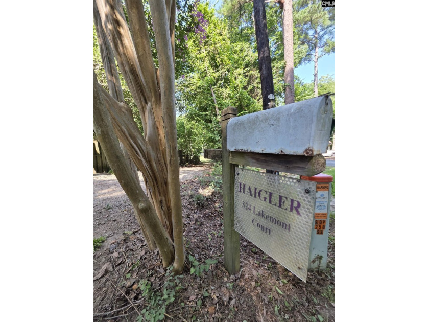 NO OPEN HOUSE ON 7/11 - Excellent Chapin lakefront home is a - photo 9