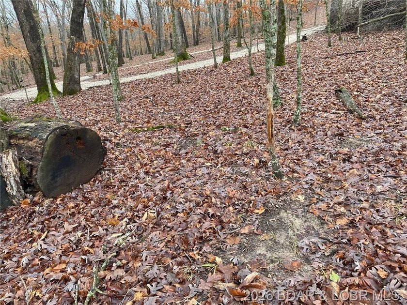 !.6 acres on beautiful Lake of the Ozarks. Gentle sloping lot - photo 12