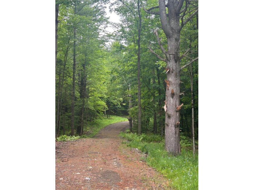 This unique piece of Vermont is now available, offering 10+- - photo 12