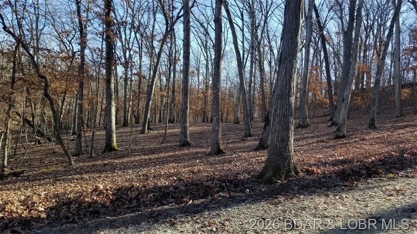 !.6 acres on beautiful Lake of the Ozarks. Gentle sloping lot - photo 14