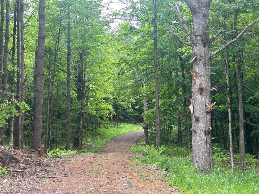 This unique piece of Vermont is now available, offering 10+- - photo 14