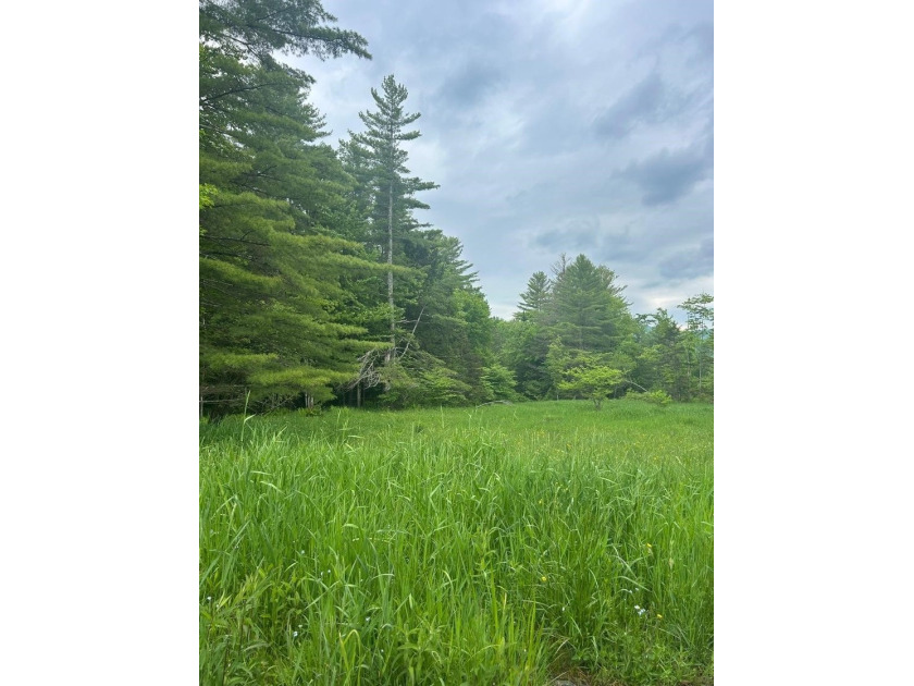 This unique piece of Vermont is now available, offering 10+- - photo 15