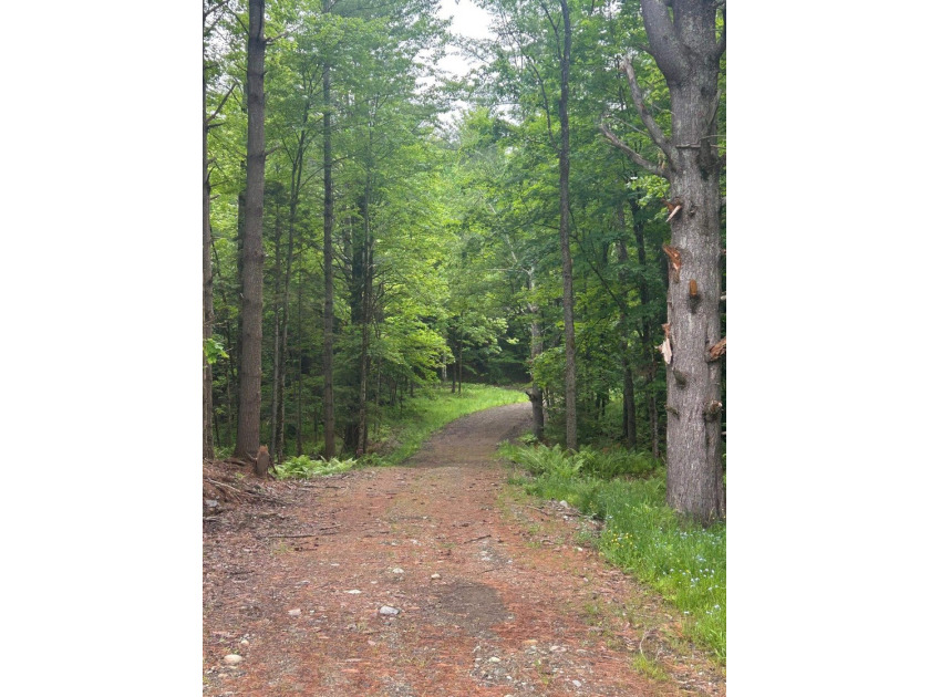This unique piece of Vermont is now available, offering 10+- - photo 16