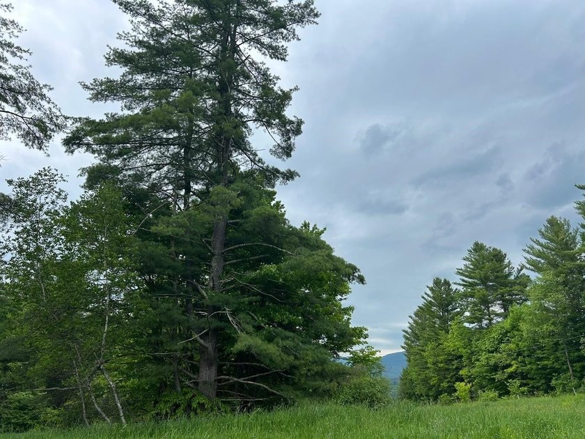 This unique piece of Vermont is now available, offering 10+- - photo 17