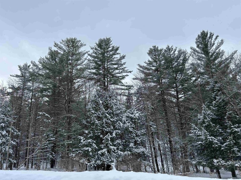 This unique piece of Vermont is now available, offering 10+- - photo 20