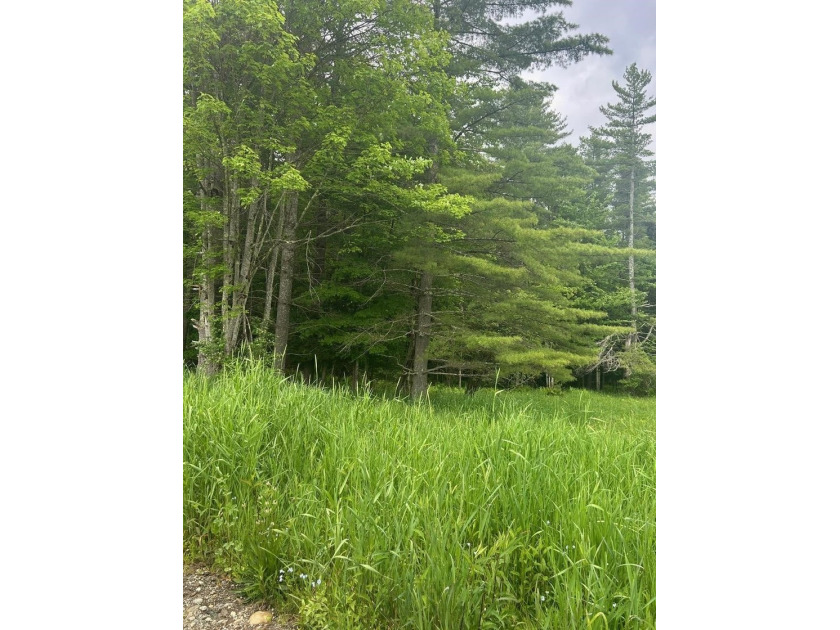 This unique piece of Vermont is now available, offering 10+- - photo 21