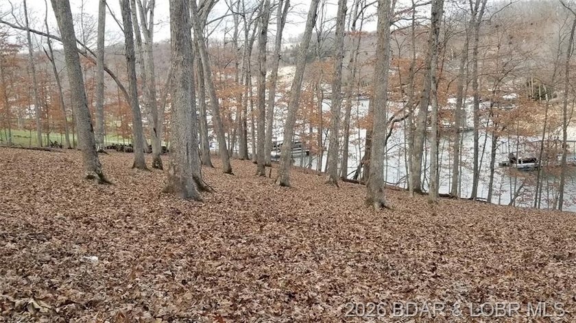 !.6 acres on beautiful Lake of the Ozarks. Gentle sloping lot - photo 22