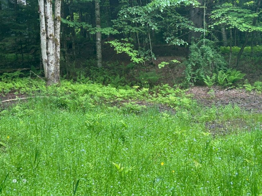 This unique piece of Vermont is now available, offering 10+- - photo 22