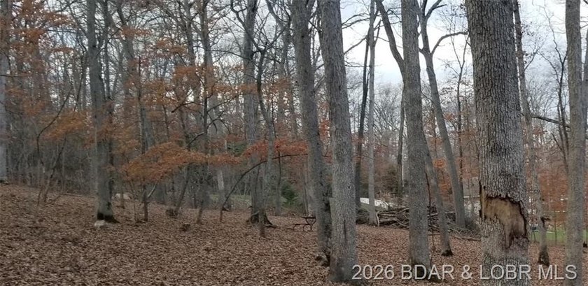 !.6 acres on beautiful Lake of the Ozarks. Gentle sloping lot - photo 24